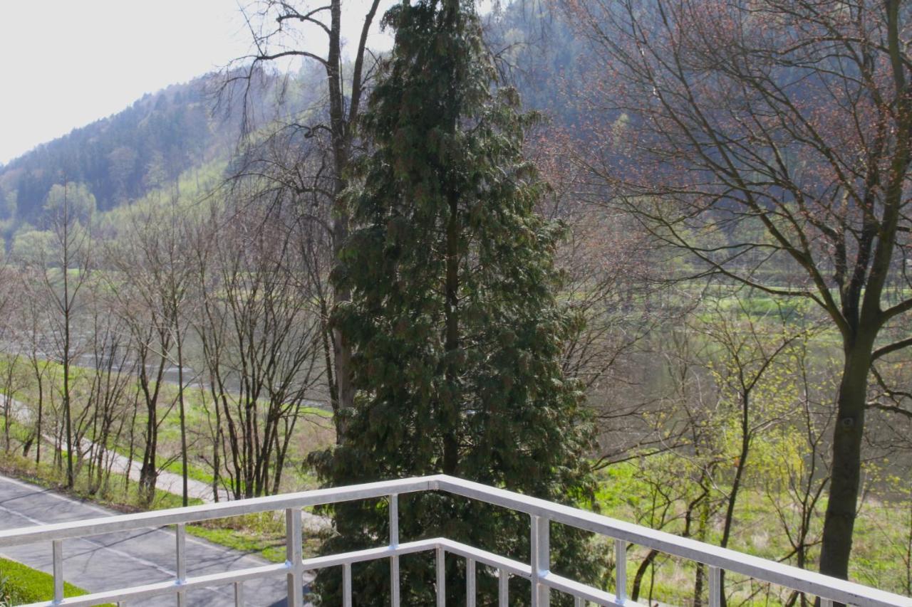 Haus Elbsinfonie Villa Бад Шандау Екстериор снимка